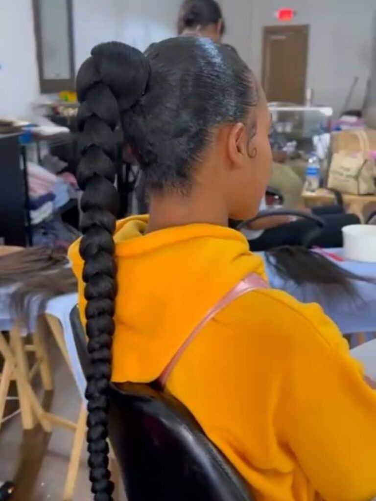 Silk Ponytail